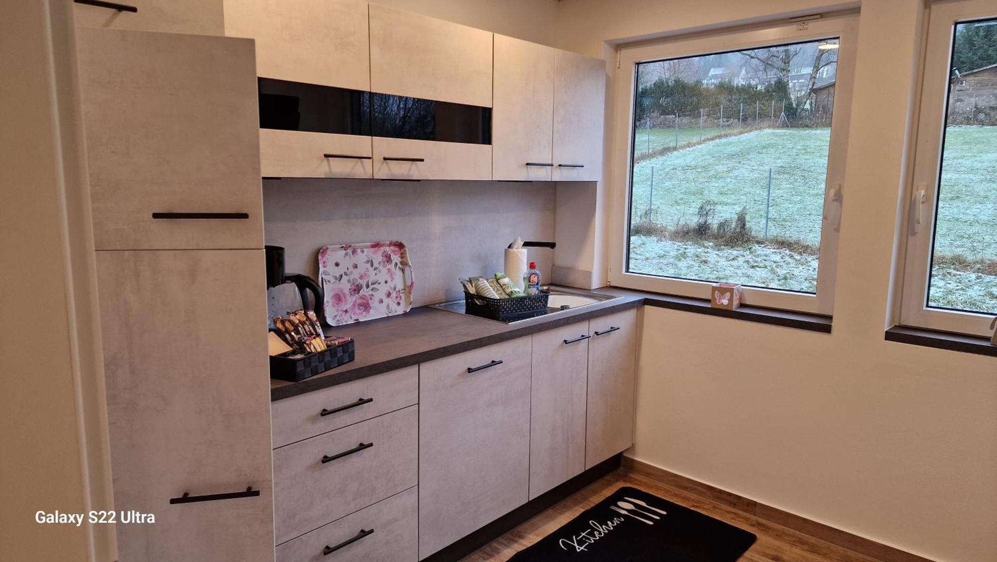 Ferienwohnung Vier Pfoten Willingen  Zewnętrze zdjęcie