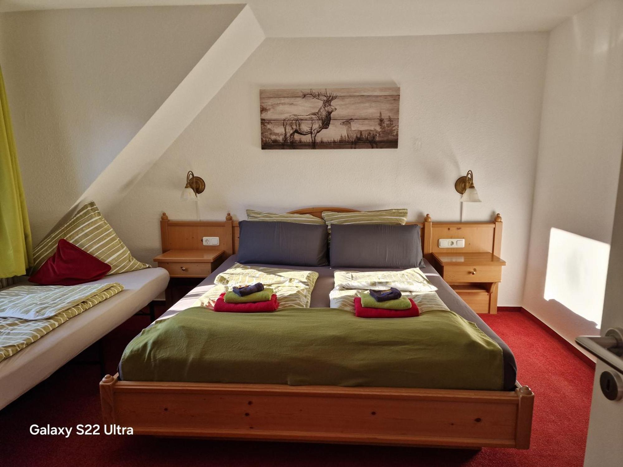 Ferienwohnung Vier Pfoten Willingen  Zewnętrze zdjęcie
