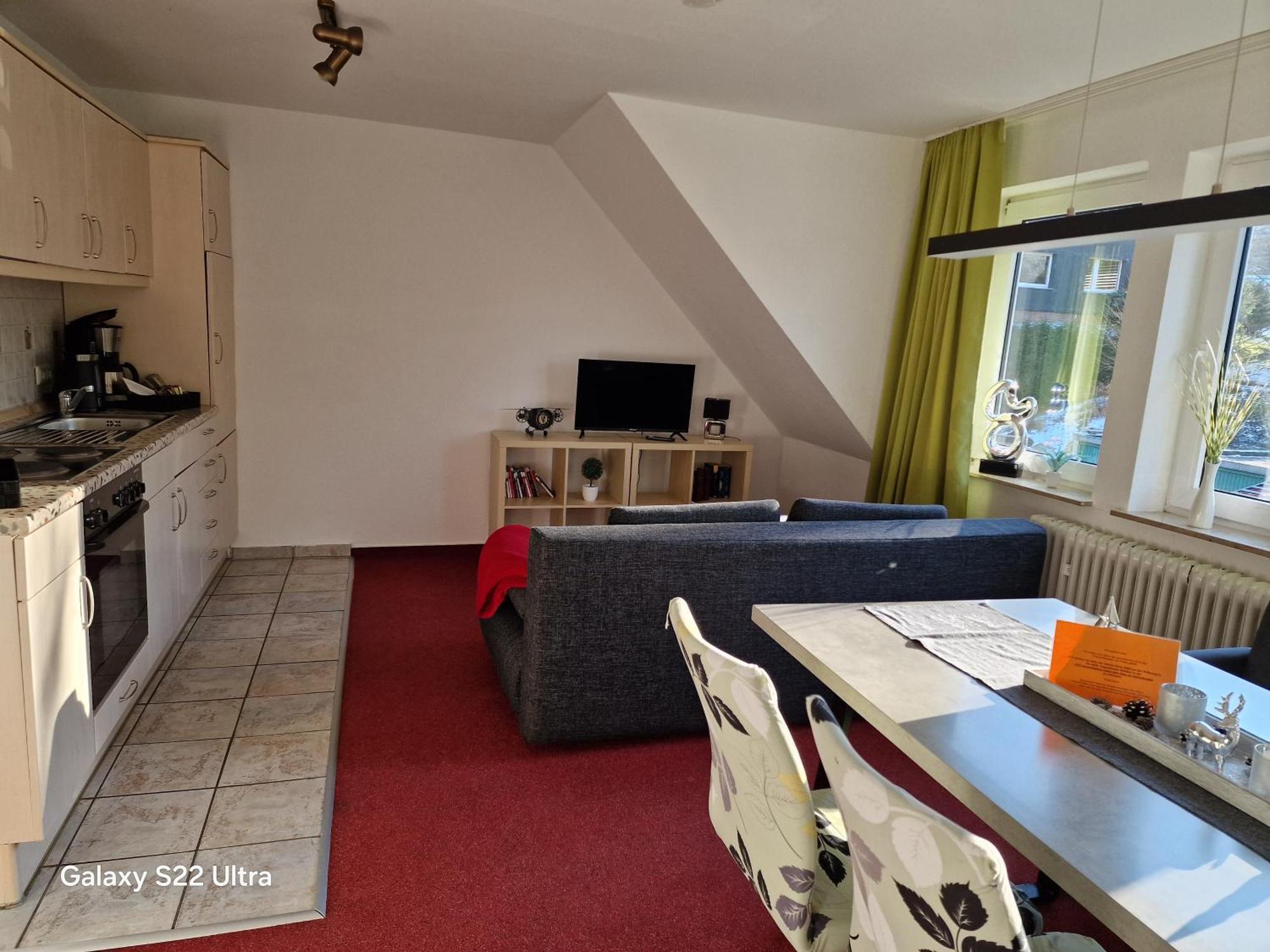 Ferienwohnung Vier Pfoten Willingen  Zewnętrze zdjęcie
